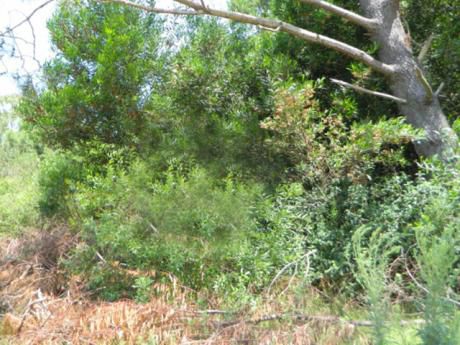 Terreno A La Venta En Punta Colorada, Piriápolis