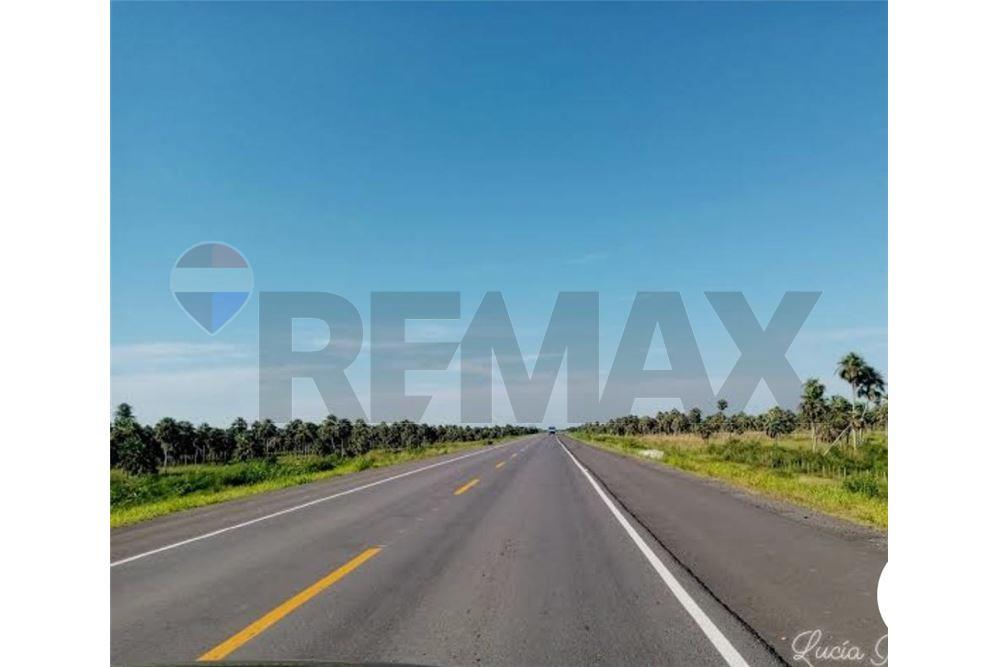 VENDO EN VILLETA UNA HECTAREA SOBRE ACCESO SUR — foto 2