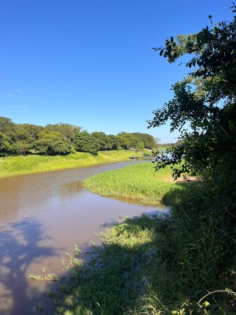 vendo 9 hectareas al lado de aduana puerto falcon 300 m sobre rio — foto 2