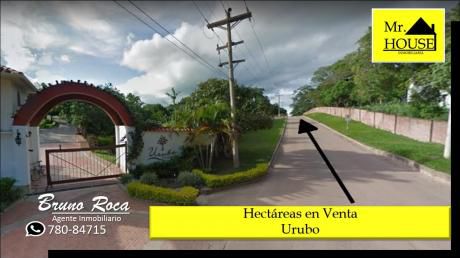 5 Hectareas En Venta (urubo)