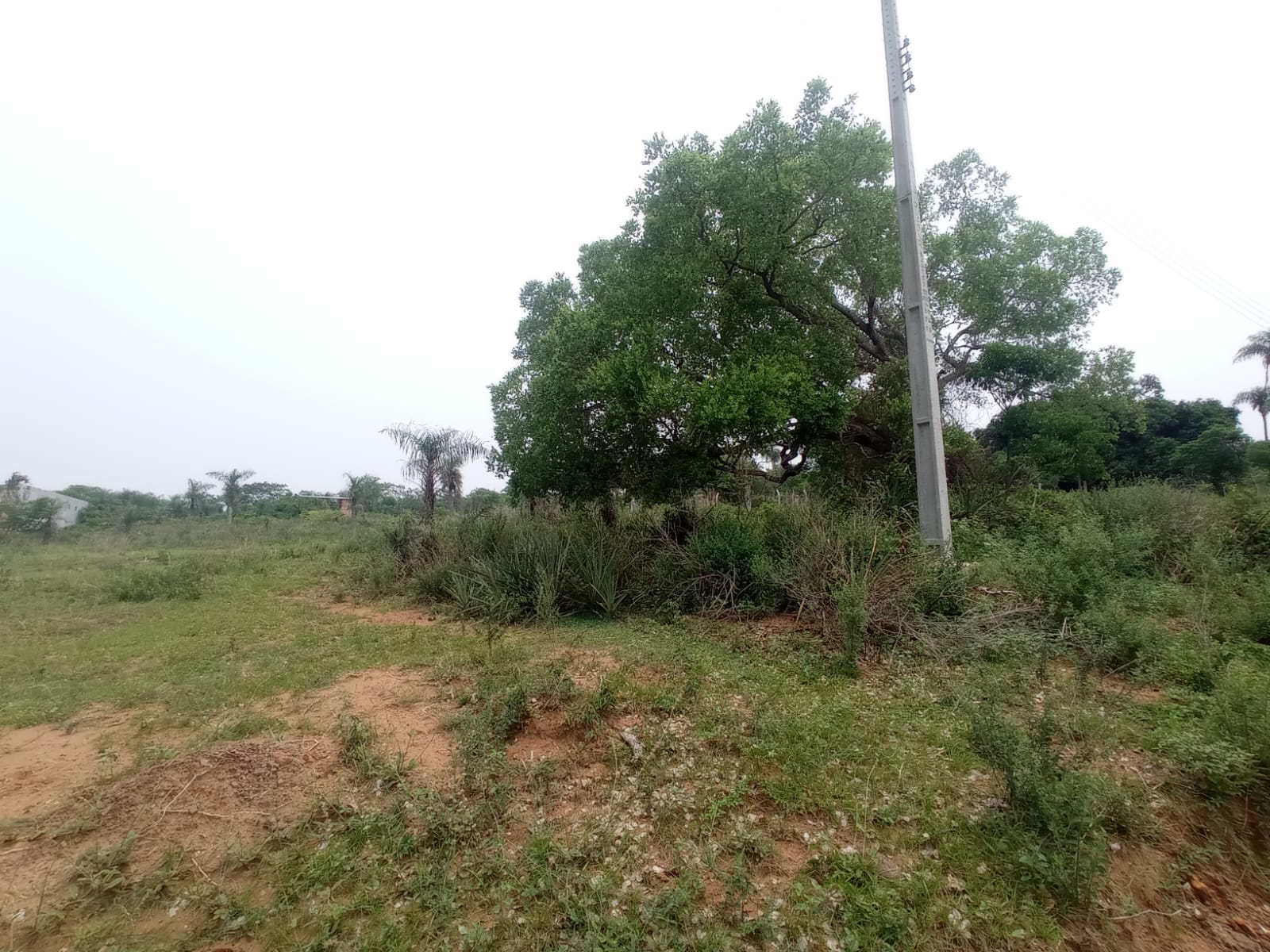 Vendo terreno en la compañía Yha'aka Roysã de la ciudad de Caacupé — foto 2