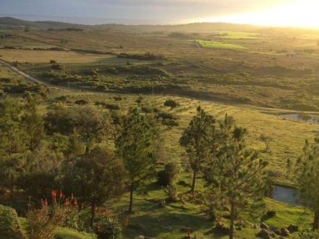 Chacras De 5has Al Pie Del Cerro Pan De Azúcar