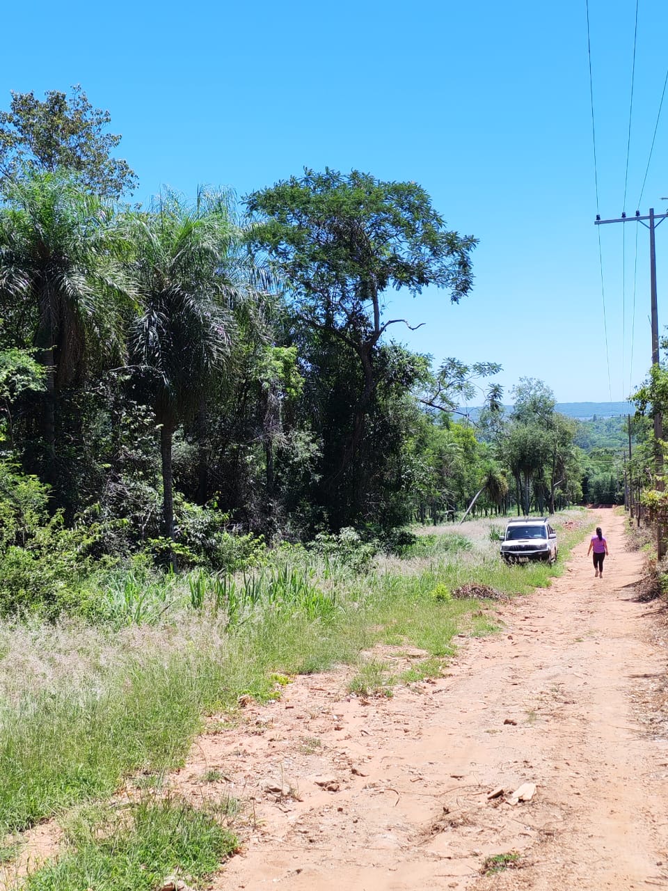 En venta terreno de 2 hectáreas en san Bernardino — foto 2