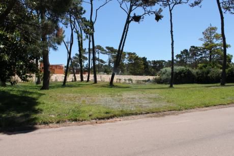 Lote En Venta