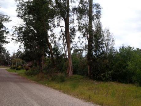 Lote En Venta