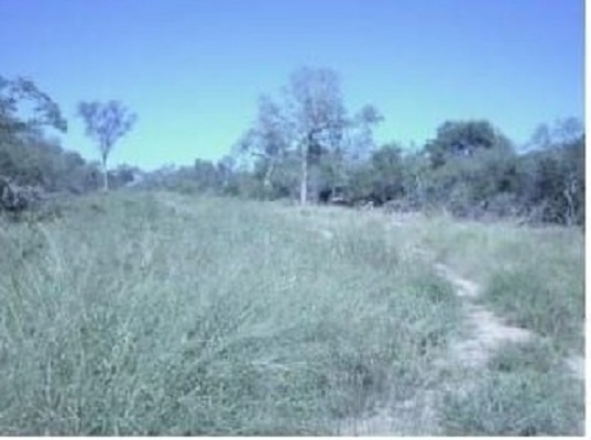 Vendo Campo de 8.012 Hectáreas en Teniente Pico, Boquerón - CLCS5945700 — foto 2