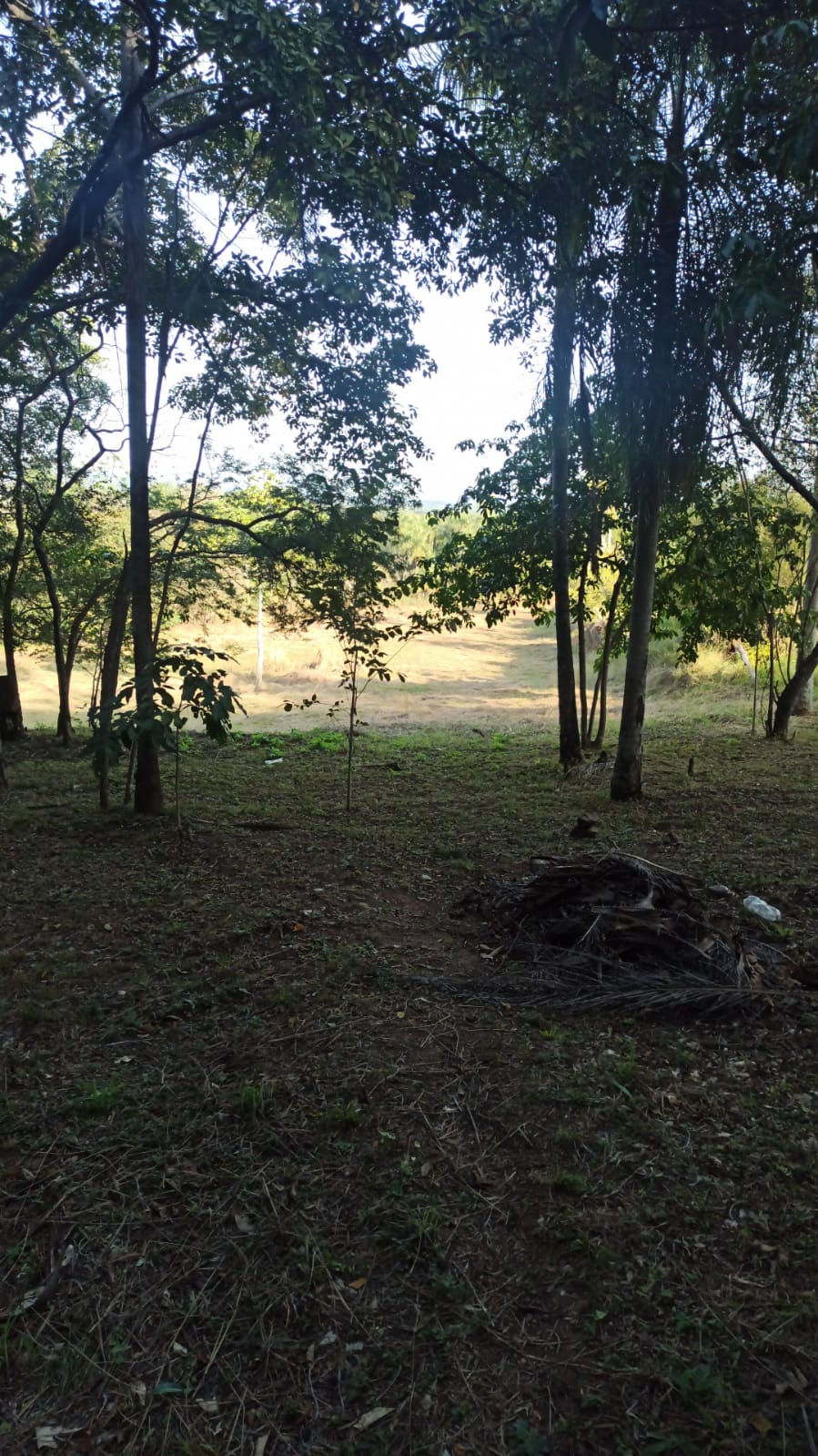 Vendo Terreno de Importante dimensión en San Bernardino — foto 3