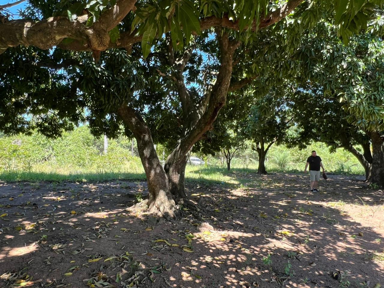 Terreno en Venta en Quindy, 17.305 m2 / Valle Apua — foto 2