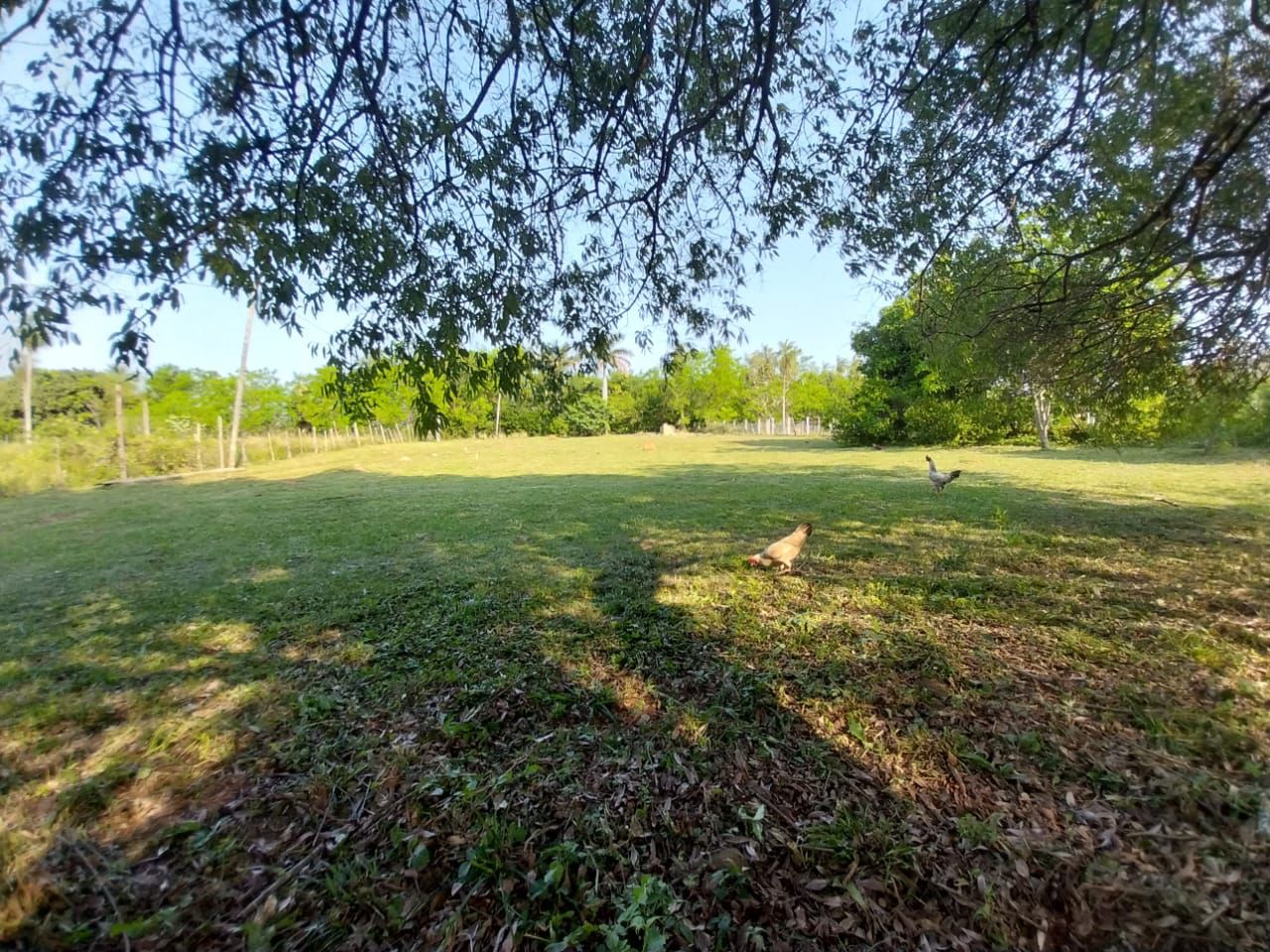 D.G. Vendo Amplio Terreno En Itauguá A Precio De Oferta — foto 3