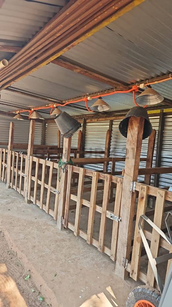 CASA DE CAMPO EN VENTA, CAAGUAZÚ-8VA LINEA — foto 2