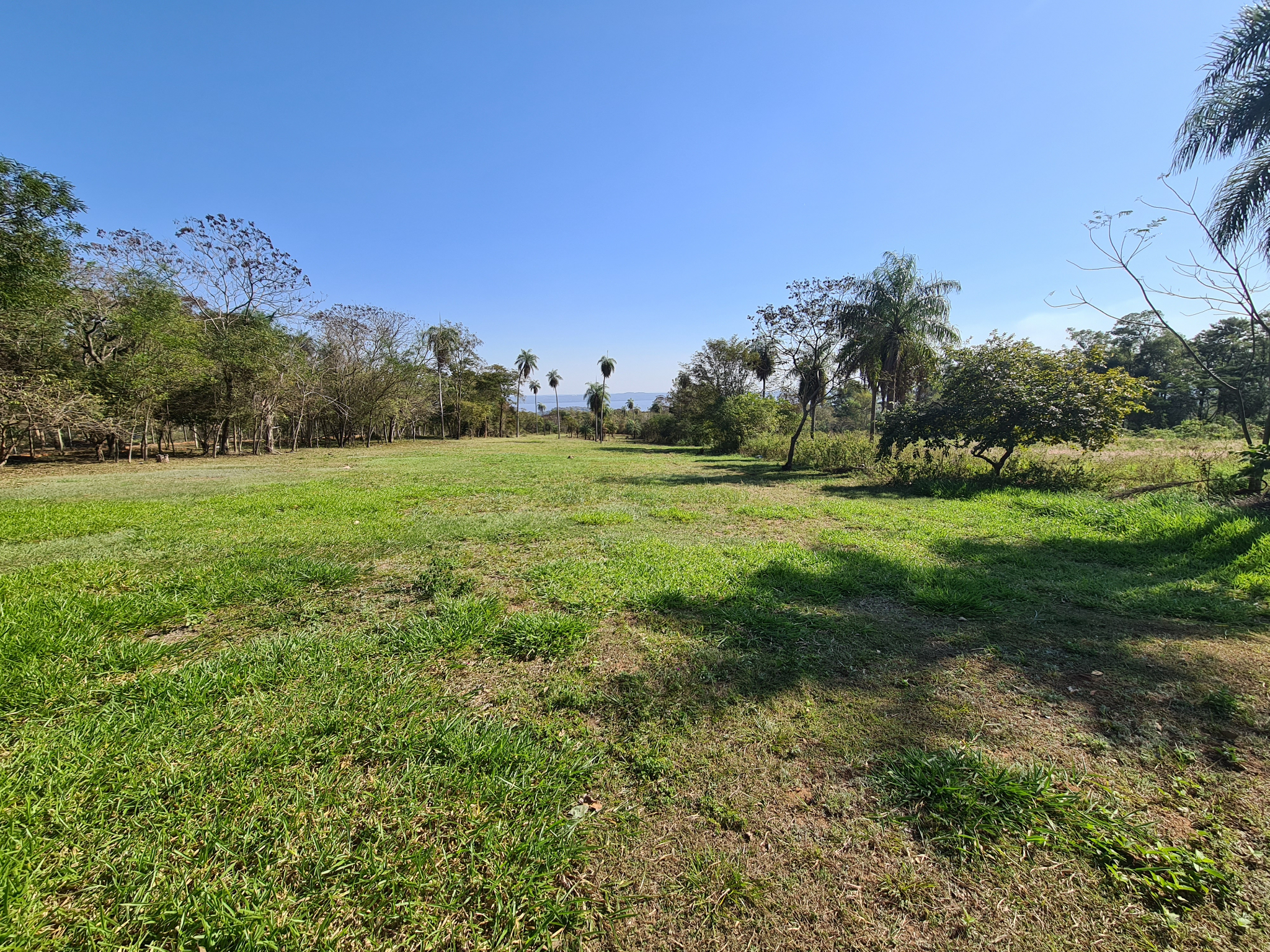 VENDO TERRENO DE 15200 M2 CON VISTA AL LAGO PARA INVERSION — foto 2
