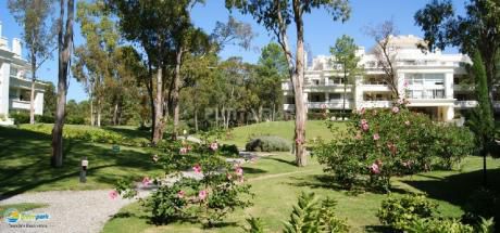 Apartamentos En Punta Ballena