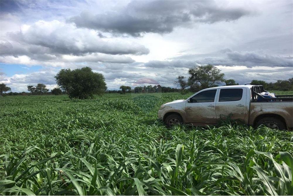 VENDO CAMPO EN VILLA DEL ROSARIO CON ORILLA AL RIO PARAGUAY — foto 2