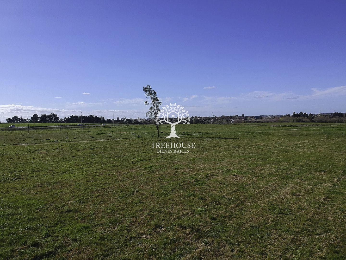 Venta campo en Canelones - foto 4