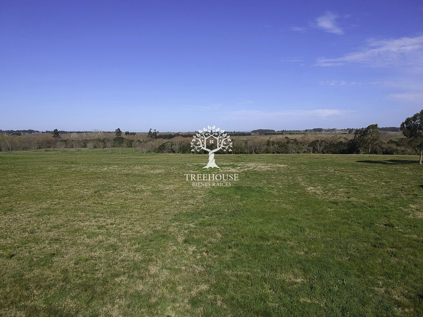 Venta campo en Canelones - foto 5