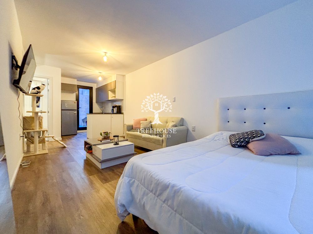 Alquiler Monoambiente con patio Malvín Sur · Foto 3