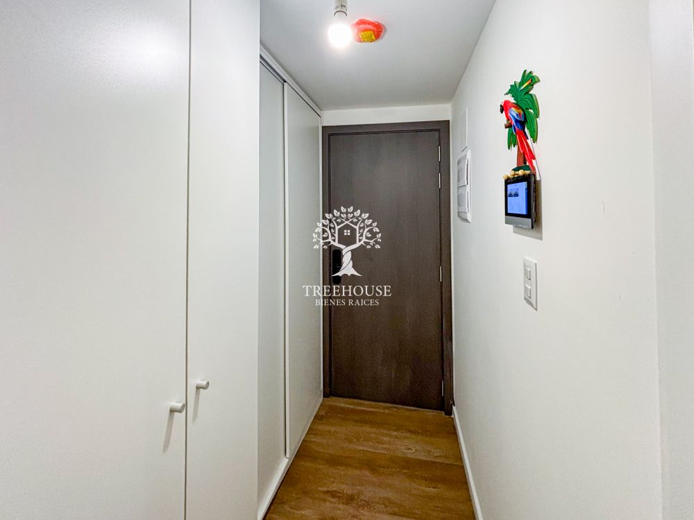 Alquiler Monoambiente con patio Malvín Sur · Foto 5