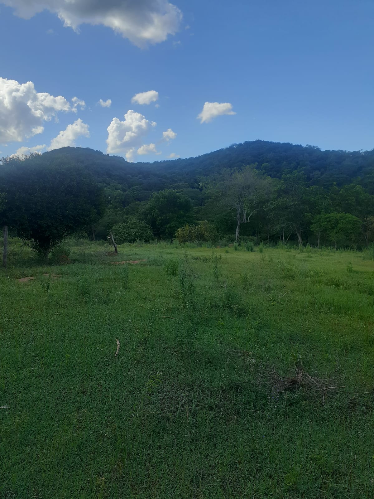 VENDO TERRENO EN CAACUPÉ — foto 3