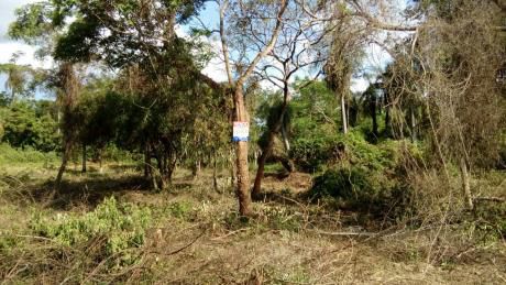 Se Vende Terrenos En Zona Alterra Luque