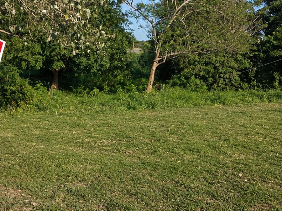 VENDO TERRENO EN BARRIO OBRERO BELLA VISTA NORTE — foto 2