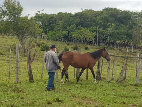VENDO 14 HAS EN YBYTIMÍ PARAGUARÍ — foto 2
