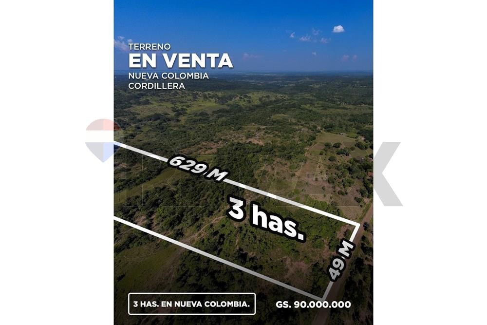 Amplio Terreno En Nueva Colombia, Cordillera — foto 2