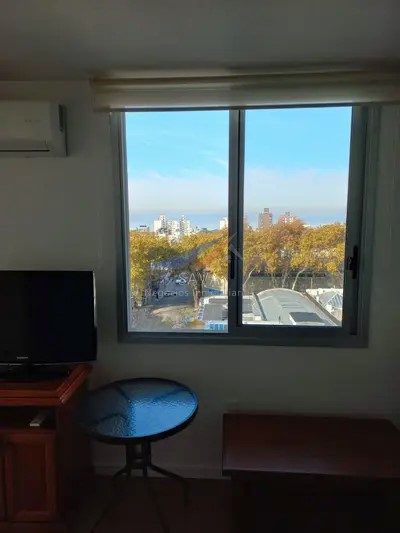 Alquiler Apartamento Amueblado 1 Dormitorio En Palermo! Balcón. · Foto 5