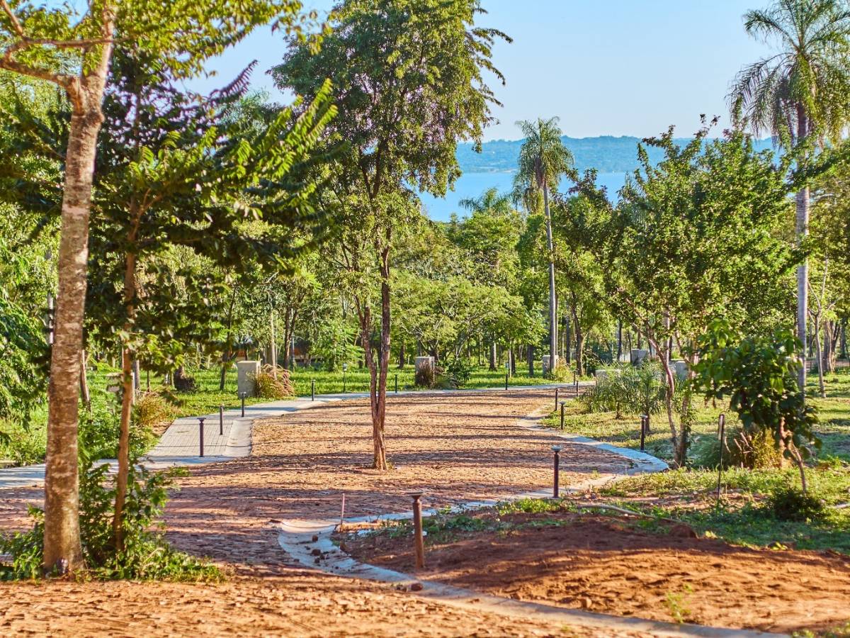VENDO terreno en MADRE SELVA - Ciervo Kua — foto 3