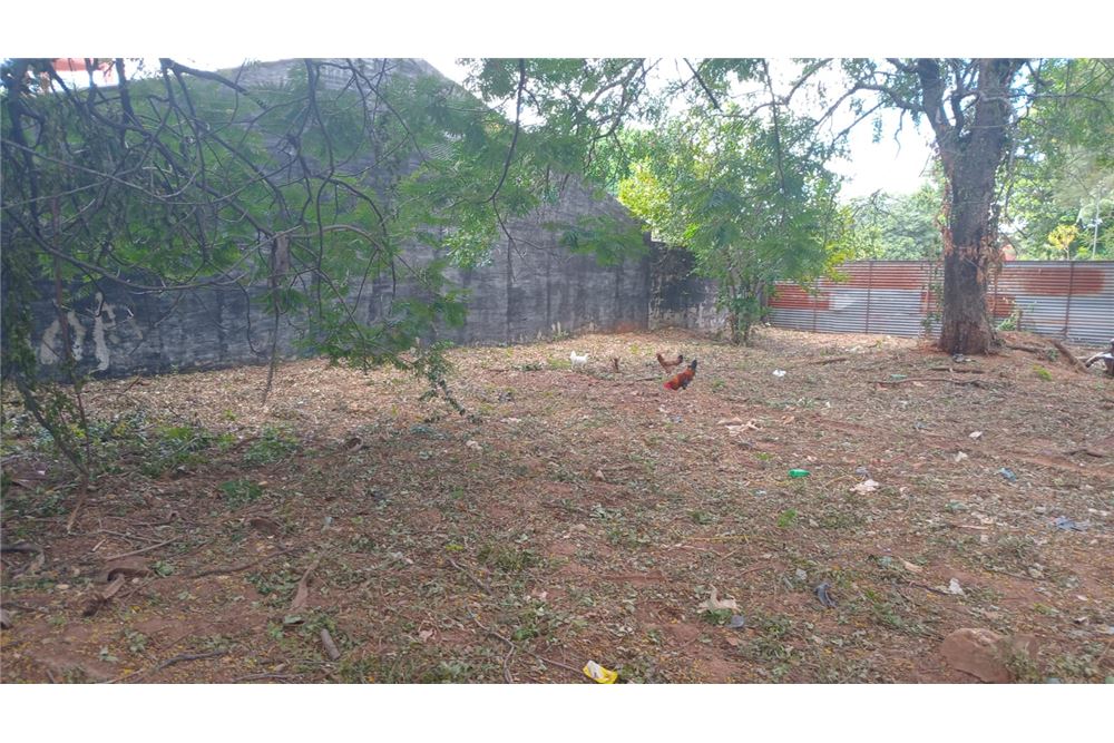 VENDO DOS TERRENOS JUNTOS EN SAN LORENZO — foto 2