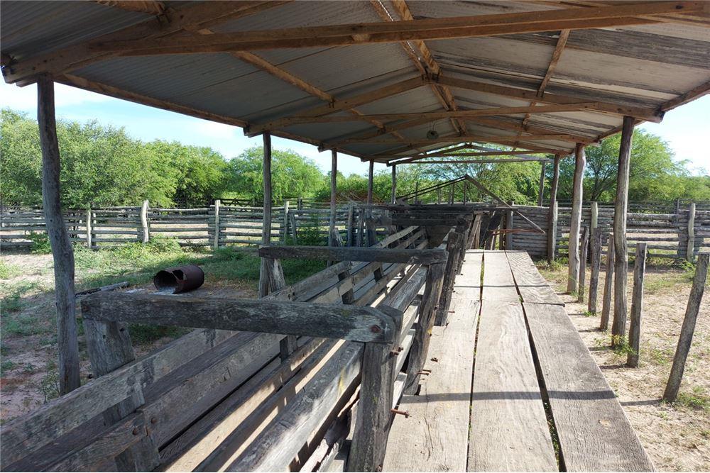 Estancia/Campo - Venta - Paraguay Presidente Hayes Villa Hayes — foto 3