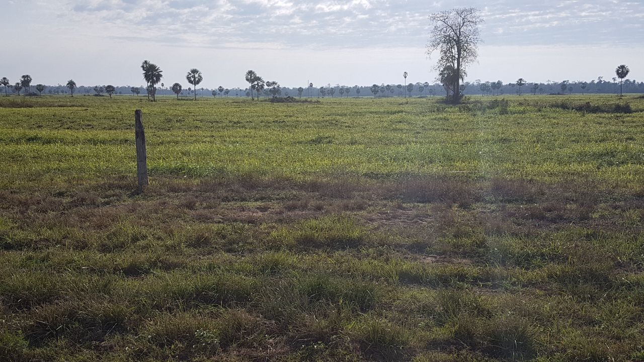 PROPIEDAD RURAL A LA VENTA EN NUEVA GERMANIA - CLCS3992237 — foto 2