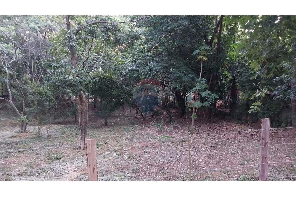 TERRENO EN ALTURA SAN BERNARDINO. — foto 3