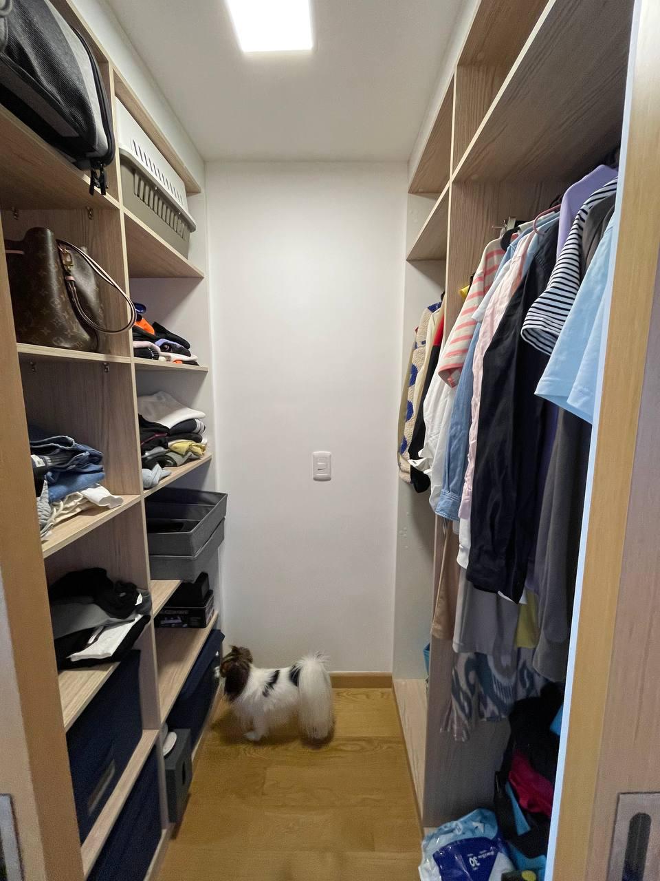 Alquiler Apartamento Dos Dormitorios Amoblado, Puntacarretas · Foto 6