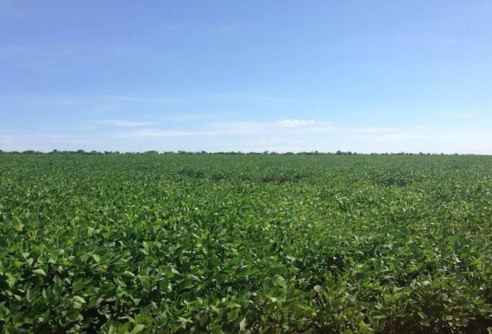 AZOTEY 11.300 HAS CAMPO GANADERO / AGRICOLA — foto 3
