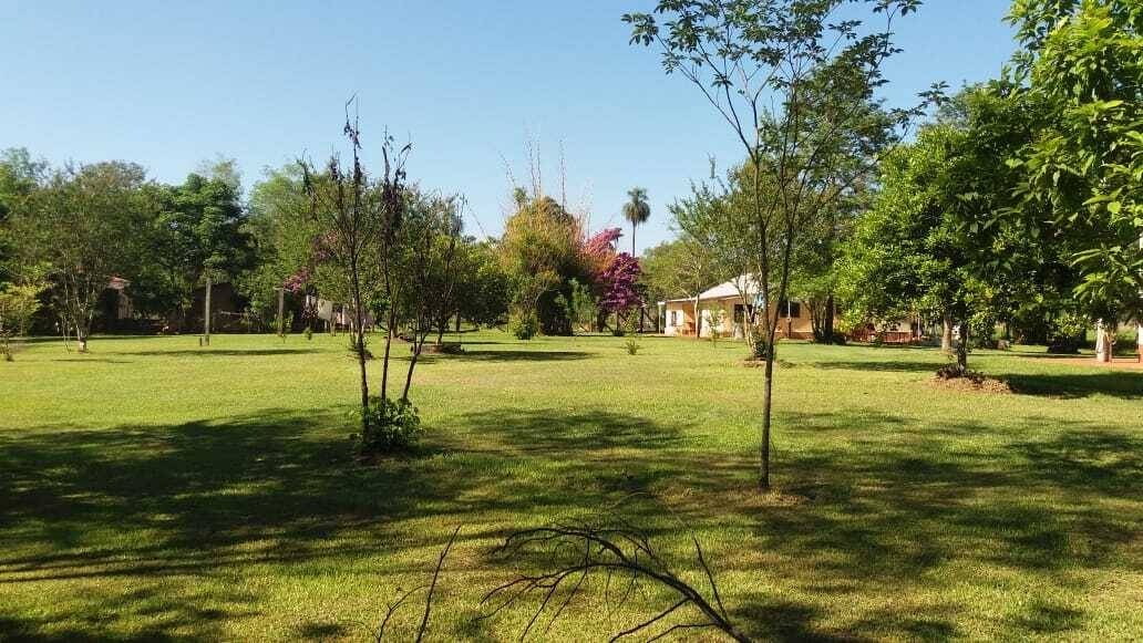 VENDO TERRENO DE 25 HECTÁREAS — foto 3