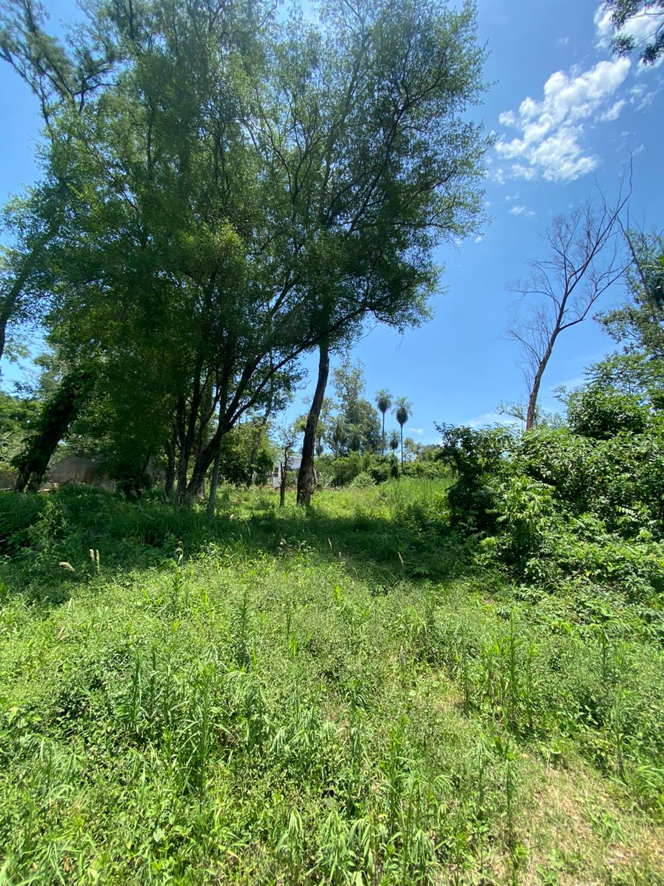 Vendo Terreno de 900 mts2. San Bernardino. COD 037 — foto 2