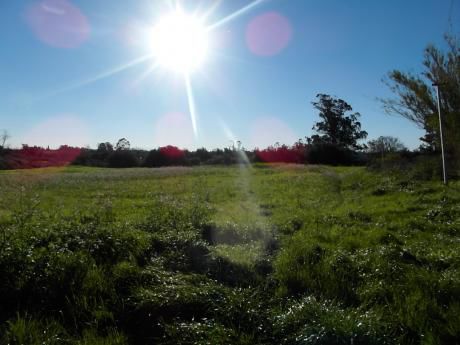 Campo Muy Linda Zona-vivienda Modesta-tajamar