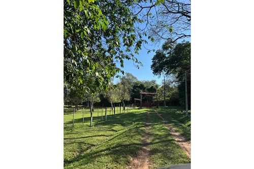 Finca Agrícola-Venta-calle caucupe, Caacupé, Cordillera — foto 3