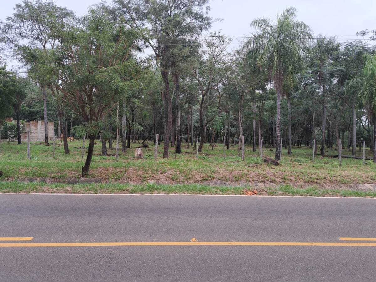 VENDO TERRENO EN SAN BERNARDINO — foto 3