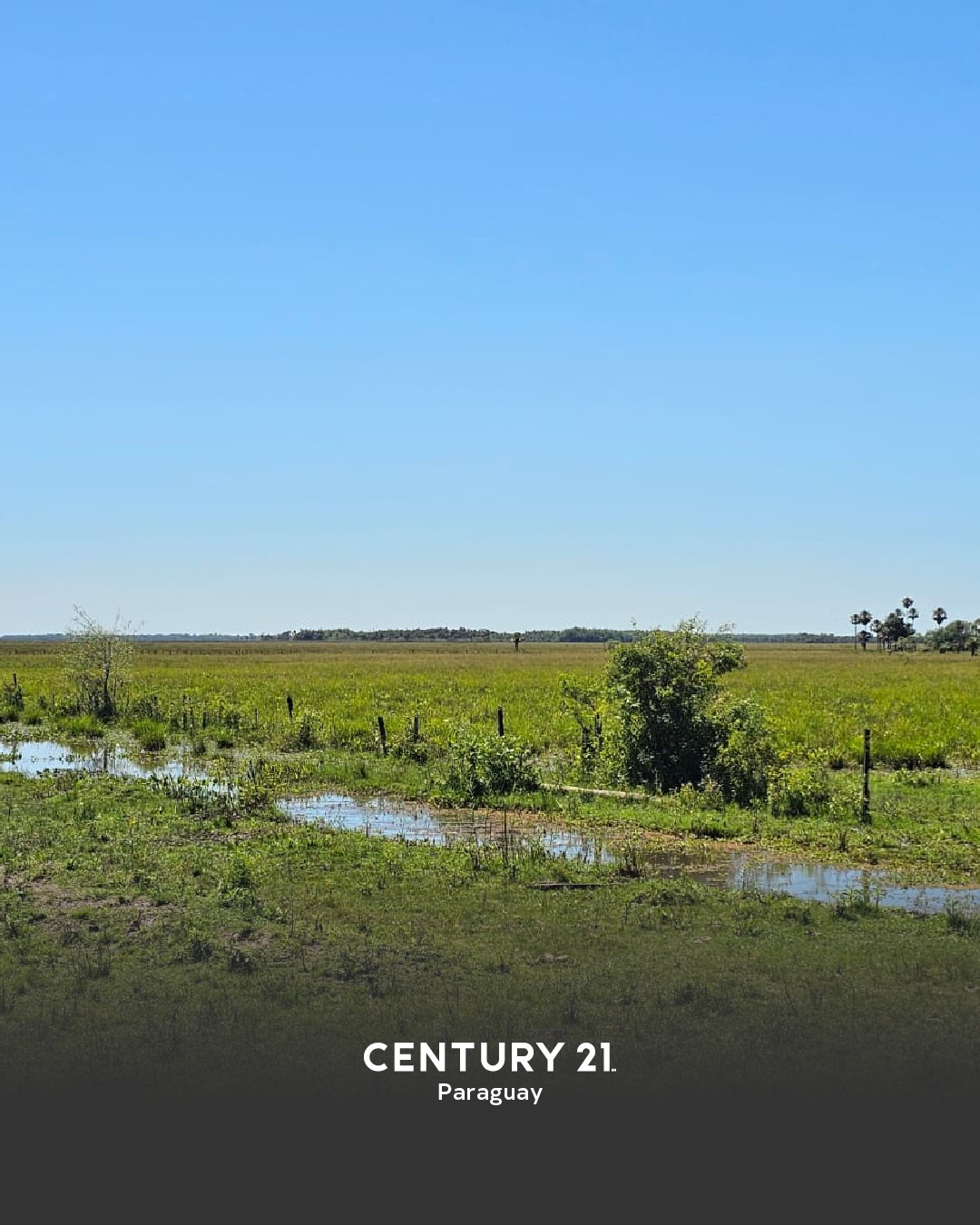 EN VENTA IMPONENTE PROPIEDAD DE 3.757,60 HECTÁREAS PRODUCTIVAS EN ÑEEMBUCÚ — foto 2