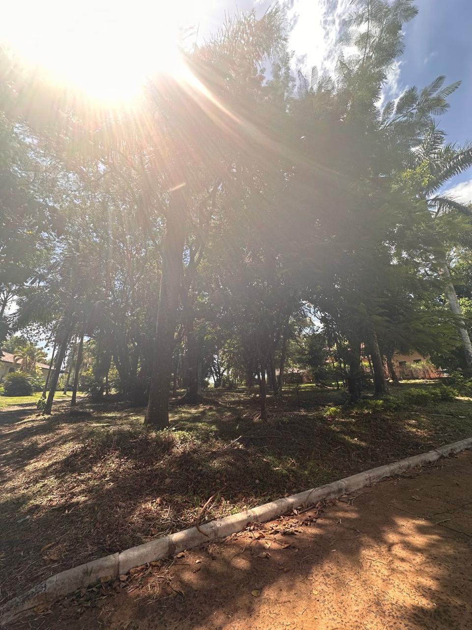 En venta terreno en Paraná Country Club — foto 3