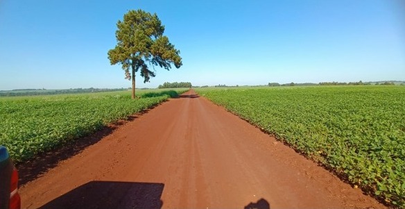Vendo Campo de 547 has en la Zona Edelira, Itapúa-CLCS5191351 — foto 3