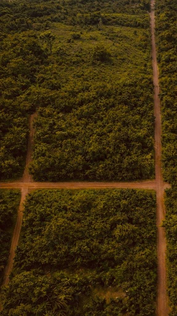 Venta de Terreno en Altos, Cordillera — foto 2