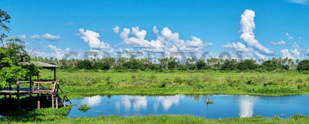 Estancia De 7.686 Ha. En Fuerte Olimpo — foto 3