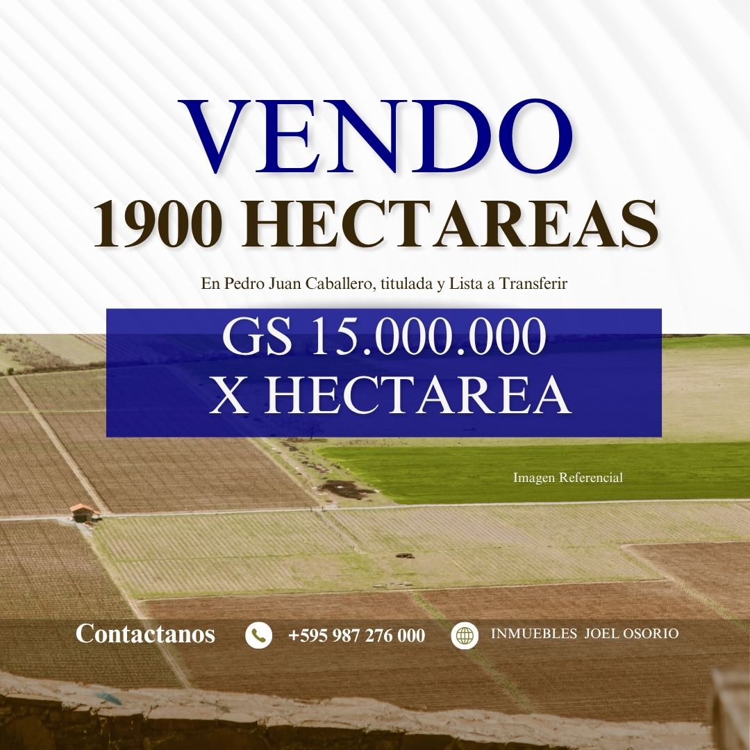 Terreno en venta en Pedro Juan Caballero — foto 3