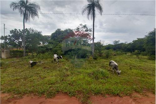 VENDO TERRENO EN PIRIBEBUY — foto 3