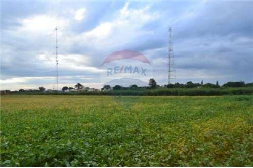Terreno - Venta - San Alberto, Paraguay — foto 3