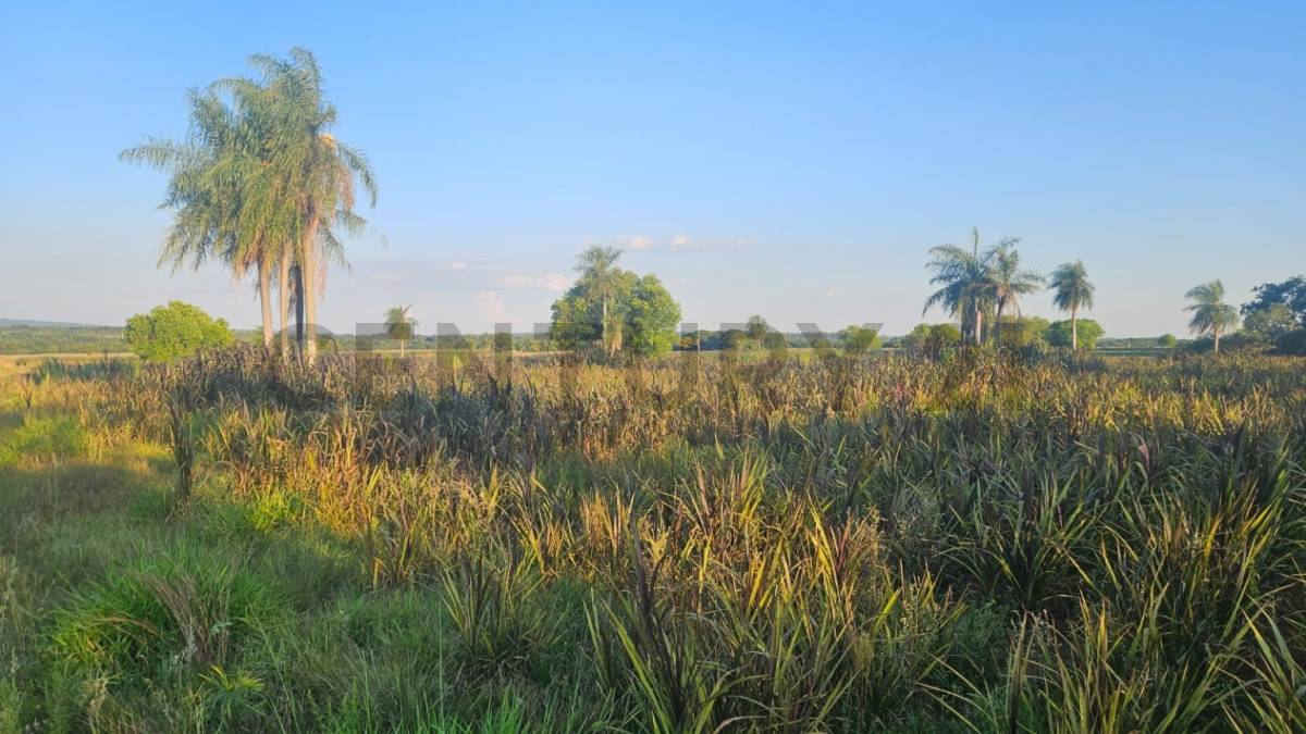 VENTA DE RANCHO PRODUCTIVO EN YBYCUÍ | ID: 42353 — foto 3