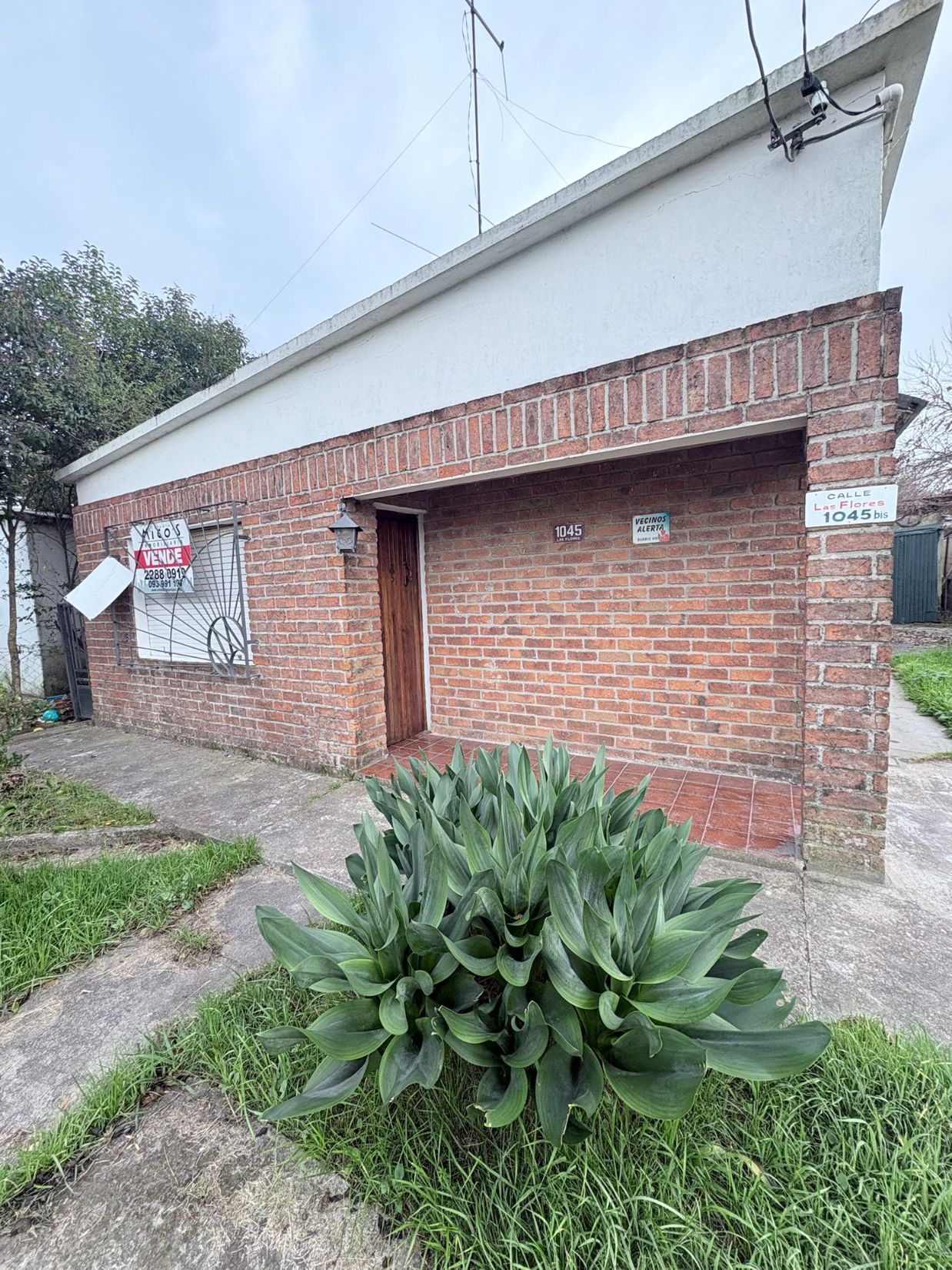 Casa Un Dormitorio En Pando