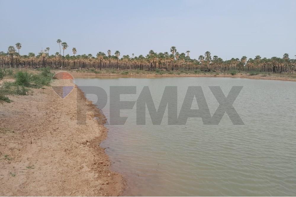 VENDO ESTANCIA FORMADA EN FORTIN CABALLERO PRESIDENTE HAYES — foto 3